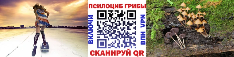 где купить   Ворсма  кракен ТОР  Галлюциногенные грибы Cubensis 